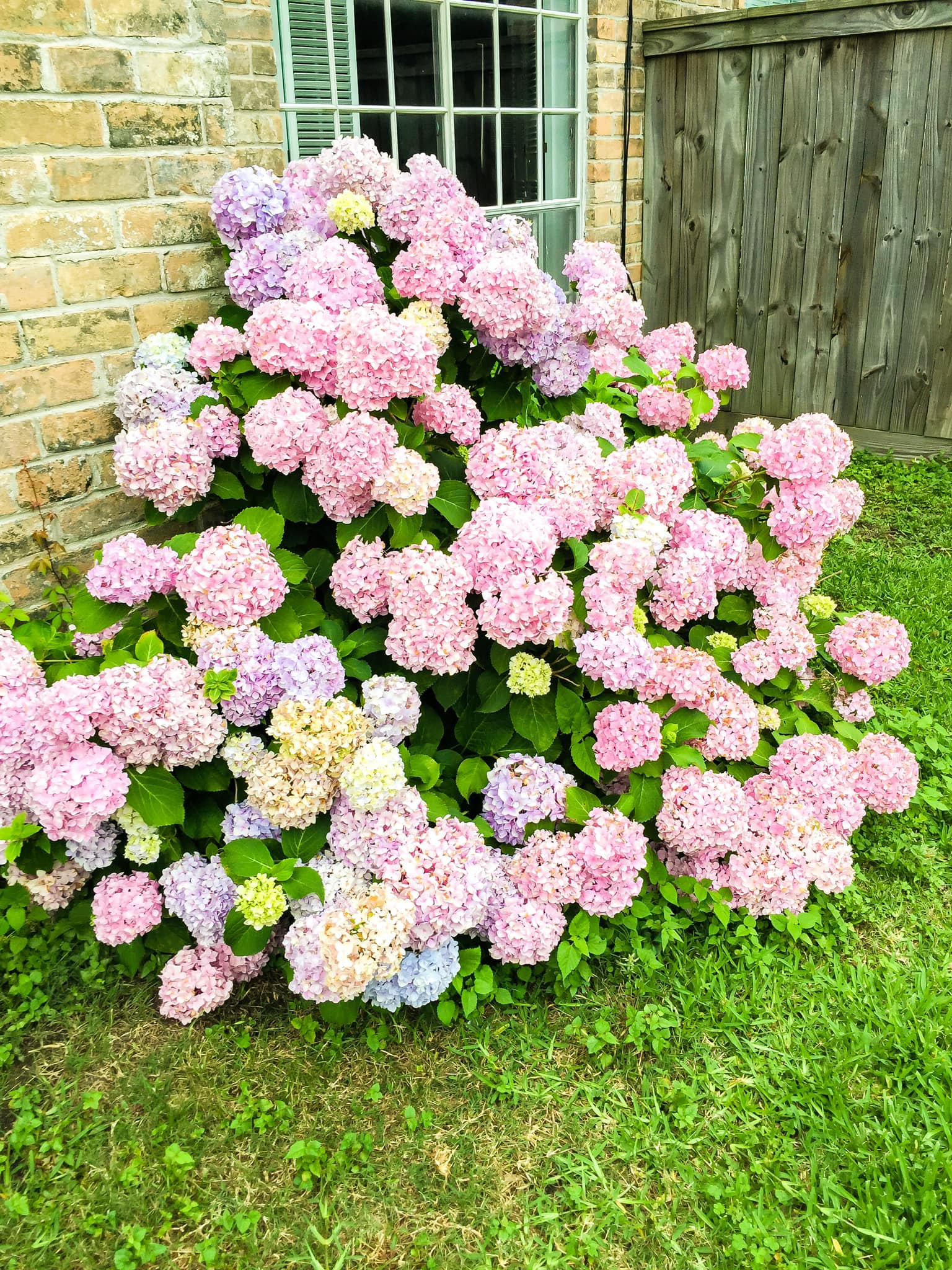 Drainage project in Spring